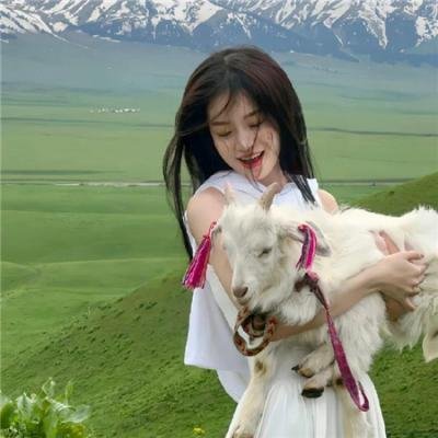 青春谎言之旅